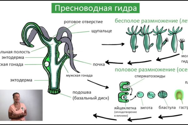 Кракен сайт как зайти