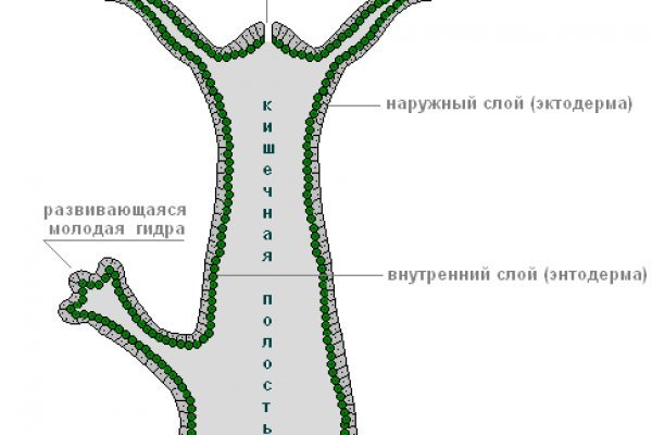 Кракен сайт регистрация