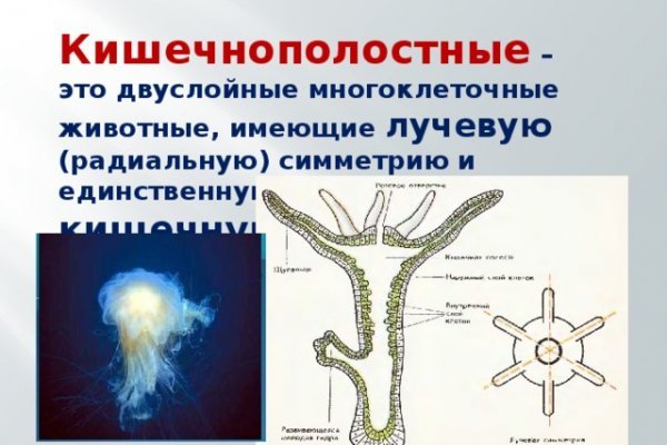 Кракен прямая ссылка