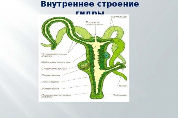 Услуги даркнета