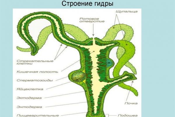 Ссылка на сайт кракен в тор