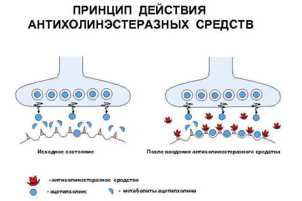 Kraken даркнет рынок ссылка