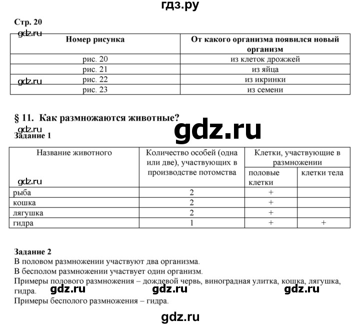 Как зайти на кракен через тор браузер